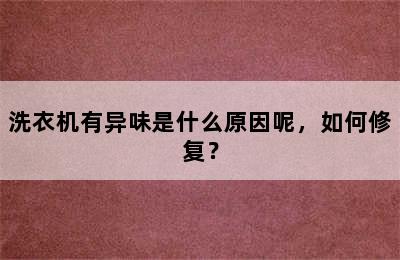 洗衣机有异味是什么原因呢，如何修复？