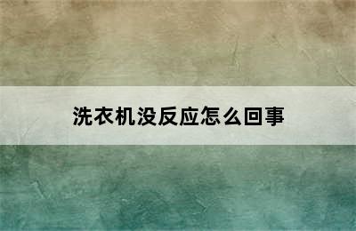 洗衣机没反应怎么回事