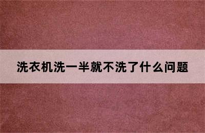 洗衣机洗一半就不洗了什么问题