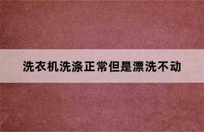 洗衣机洗涤正常但是漂洗不动