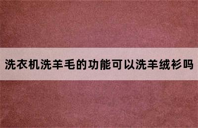 洗衣机洗羊毛的功能可以洗羊绒衫吗