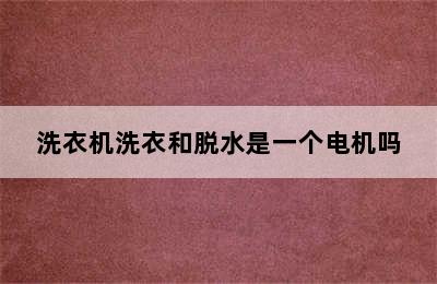 洗衣机洗衣和脱水是一个电机吗