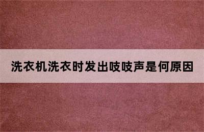 洗衣机洗衣时发出吱吱声是何原因