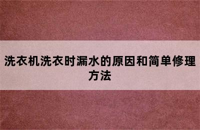 洗衣机洗衣时漏水的原因和简单修理方法