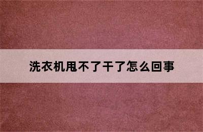 洗衣机甩不了干了怎么回事