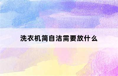 洗衣机简自洁需要放什么