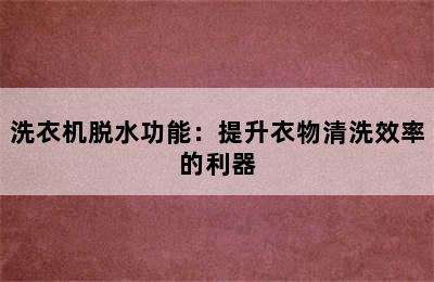 洗衣机脱水功能：提升衣物清洗效率的利器