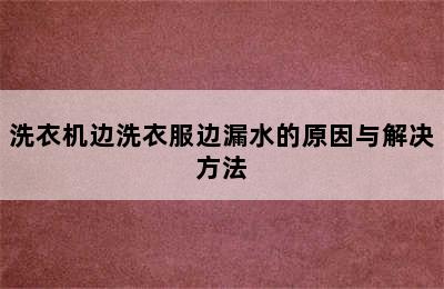 洗衣机边洗衣服边漏水的原因与解决方法