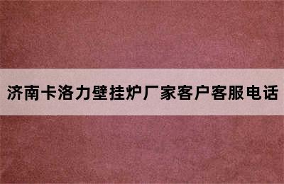 济南卡洛力壁挂炉厂家客户客服电话