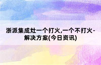 浙派集成灶一个打火,一个不打火-解决方案(今日资讯)