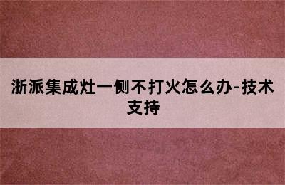 浙派集成灶一侧不打火怎么办-技术支持