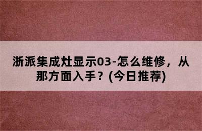 浙派集成灶显示03-怎么维修，从那方面入手？(今日推荐)