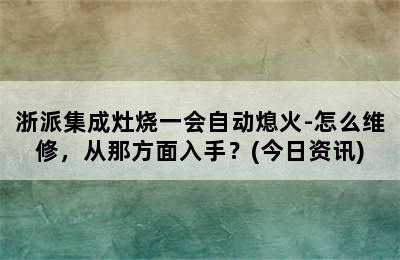 浙派集成灶烧一会自动熄火-怎么维修，从那方面入手？(今日资讯)