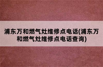 浦东万和燃气灶维修点电话(浦东万和燃气灶维修点电话查询)