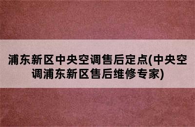 浦东新区中央空调售后定点(中央空调浦东新区售后维修专家)