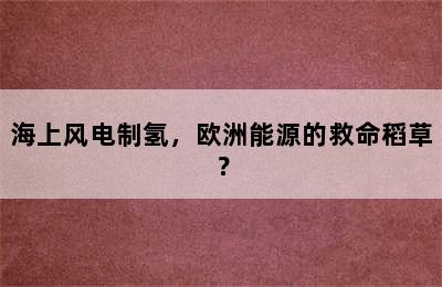 海上风电制氢，欧洲能源的救命稻草？