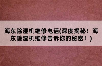 海东除湿机维修电话(深度揭秘！海东除湿机维修告诉你的秘密！)