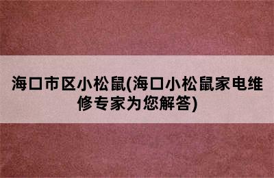 海口市区小松鼠(海口小松鼠家电维修专家为您解答)