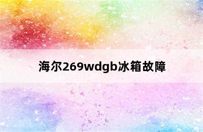 海尔269wdgb冰箱故障