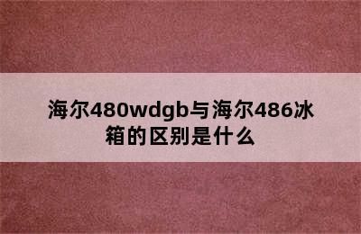 海尔480wdgb与海尔486冰箱的区别是什么