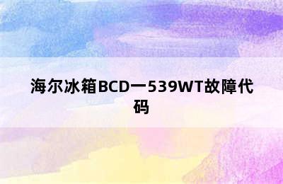 海尔冰箱BCD一539WT故障代码