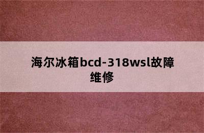 海尔冰箱bcd-318wsl故障维修