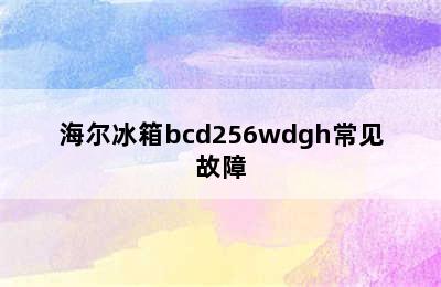 海尔冰箱bcd256wdgh常见故障