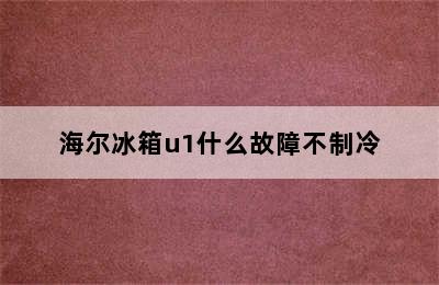 海尔冰箱u1什么故障不制冷