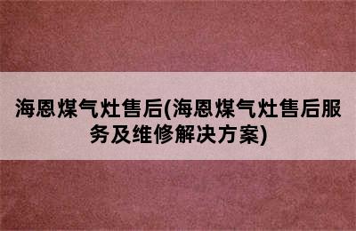 海恩煤气灶售后(海恩煤气灶售后服务及维修解决方案)