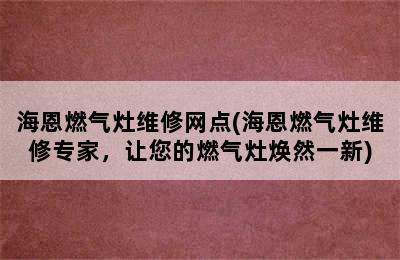 海恩燃气灶维修网点(海恩燃气灶维修专家，让您的燃气灶焕然一新)