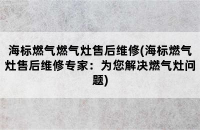 海标燃气燃气灶售后维修(海标燃气灶售后维修专家：为您解决燃气灶问题)