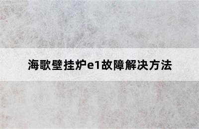 海歌壁挂炉e1故障解决方法