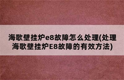 海歌壁挂炉e8故障怎么处理(处理海歌壁挂炉E8故障的有效方法)