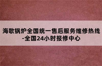 海歌锅炉全国统一售后服务维修热线-全国24小时报修中心