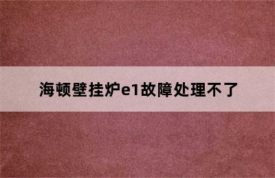 海顿壁挂炉e1故障处理不了