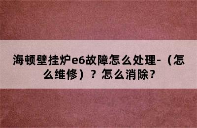 海顿壁挂炉e6故障怎么处理-（怎么维修）？怎么消除？