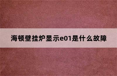 海顿壁挂炉显示e01是什么故障