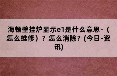 海顿壁挂炉显示e1是什么意思-（怎么维修）？怎么消除？(今日-资讯)