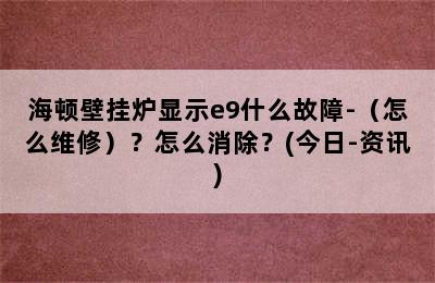 海顿壁挂炉显示e9什么故障-（怎么维修）？怎么消除？(今日-资讯)