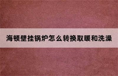 海顿壁挂锅炉怎么转换取暖和洗澡