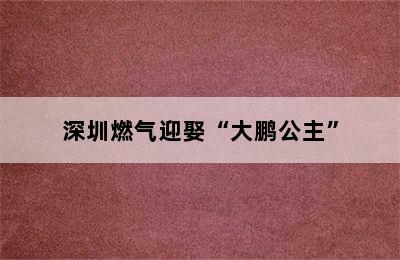 深圳燃气迎娶“大鹏公主”