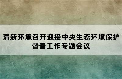 清新环境召开迎接中央生态环境保护督查工作专题会议