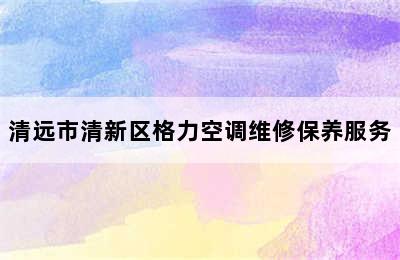 清远市清新区格力空调维修保养服务