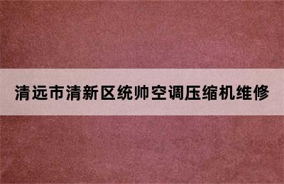 清远市清新区统帅空调压缩机维修