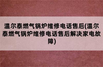 温尔泰燃气锅炉维修电话售后(温尔泰燃气锅炉维修电话售后解决家电故障)