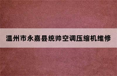 温州市永嘉县统帅空调压缩机维修