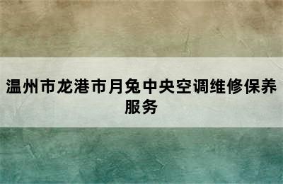 温州市龙港市月兔中央空调维修保养服务