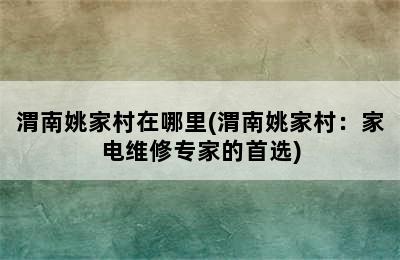 渭南姚家村在哪里(渭南姚家村：家电维修专家的首选)