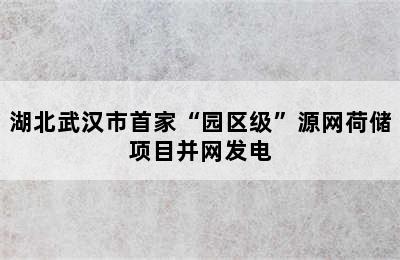 湖北武汉市首家“园区级”源网荷储项目并网发电