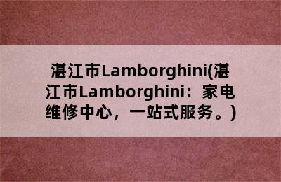 湛江市Lamborghini(湛江市Lamborghini：家电维修中心，一站式服务。)